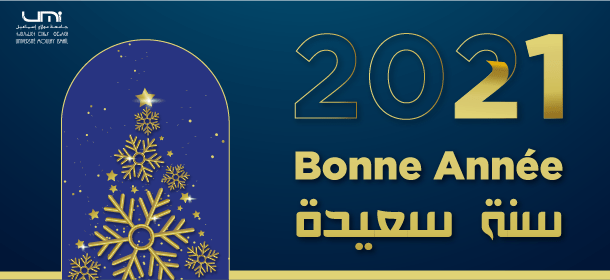 Lire la suite à propos de l’article bonne année et meilleurs vœux 2021