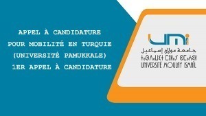 Appel à Candidature pour Mobilité en Turquie_
