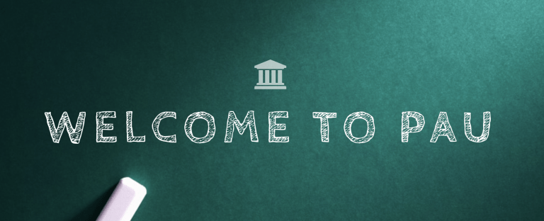 Lire la suite à propos de l’article Union-Africaine / Appels à candidatures pour l’Inscription à l’Université Panafricaine