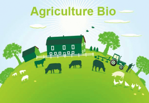 Capture d’écran 2018-09-11 à 23.00