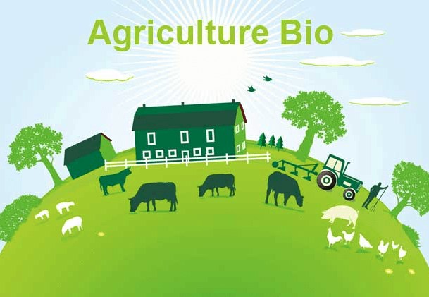 Lire la suite à propos de l’article Appel à projet : agriculture biologique et systèmes alimentaires durables