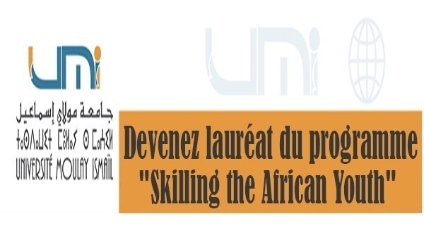 Lire la suite à propos de l’article Devenez lauréat du programme « Skilling the African Youth »