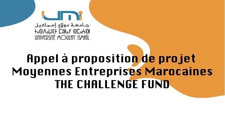 Lire la suite à propos de l’article Appel à proposition de projet – Moyennes Entreprises Marocaines – THE CHALLENGE FUND