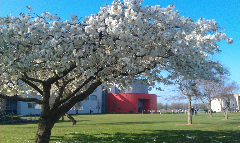 Lire la suite à propos de l’article UMI – FH-Aachen: Lancement du Bachelor of Engineering