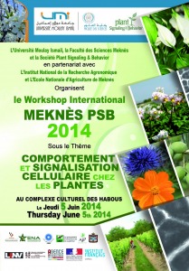 affiche web