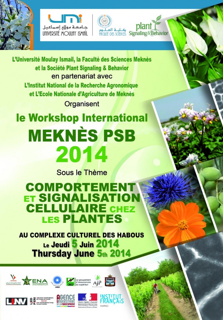 Lire la suite à propos de l’article Meknes PSB Workshop 2014