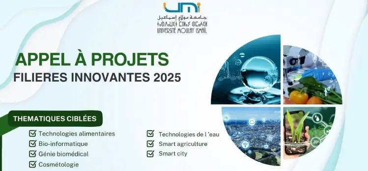 Lire la suite à propos de l’article Appel à projets Filières Innovantes 2025