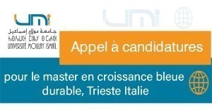 appel acondidature